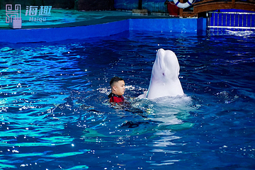 海趣花都海洋世界第 19 张图片