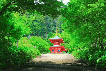 胜尾寺第 6 张图片