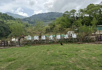 山间绿生缘农场第 3 张图片