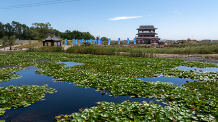 鼎翔生态旅游区-苇海蟹滩第 2 张图片