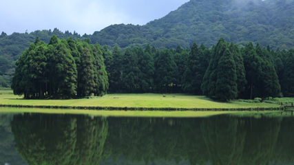大容山国家森林公园第 19 张图片
