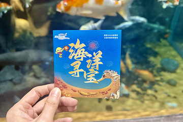 上海海洋水族馆第 106 张图片