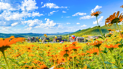 中旅松花湖度假区第 25 张图片