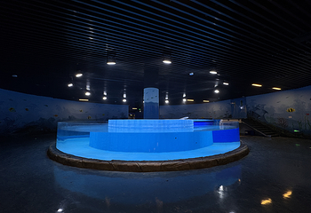 杭州西溪水族公园第 9 张图片
