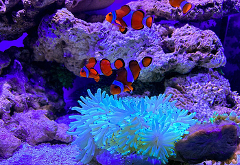 盐城海昌海洋探索馆第 39 张图片