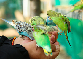 乐达萌宠互动乐园(捞鱼河湿地公园)