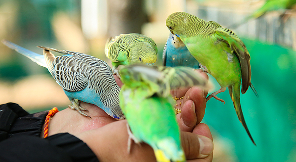 乐达萌宠互动乐园(捞鱼河湿地公园)