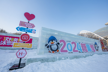 沈阳奥体冰雪嘉年华第 81 张图片
