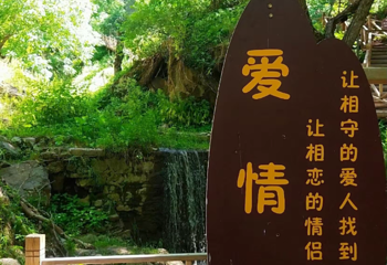 野核桃沟第 26 张图片