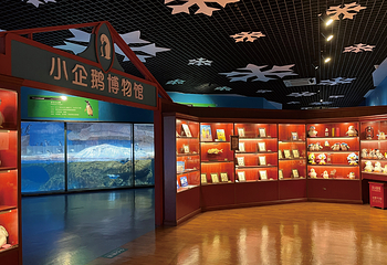 海合安武汉极地海洋公园第 298 张图片