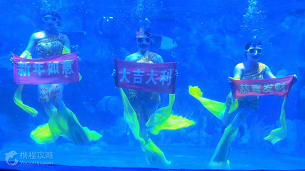 龙都海洋世界第 3 张图片