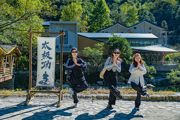 大鄣山卧龙谷第 18 张图片