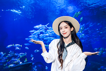海合安武汉极地海洋公园第 115 张图片