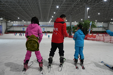 三只熊冰雪王国第 5 张图片