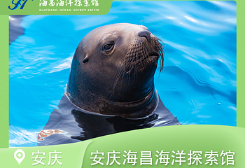安庆海昌海洋探索馆第 2 张图片