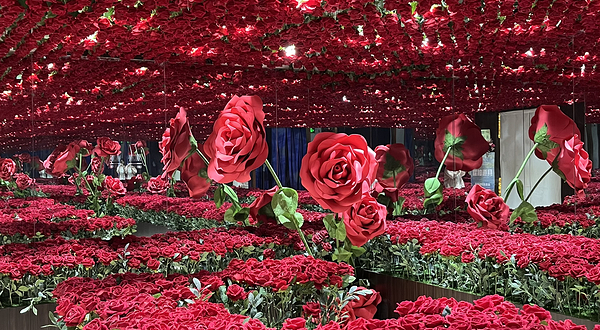 策大师|了不起的艺术大师·从莫奈到梵高艺术装置展