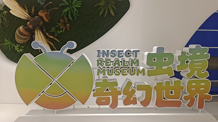长安云秦岭昆虫博物馆第 11 张图片