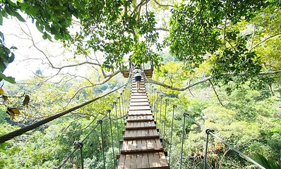 Flying Hanuman丛林飞跃第 4 张图片