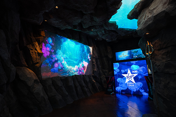 迪拜“失落的世界”水族馆第 17 张图片