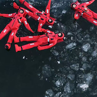 阿勒泰一牧场冰浮基地