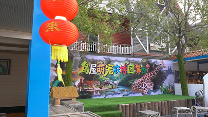 鸟屋乐园第 19 张图片