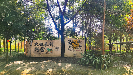 清水里森林营地第 33 张图片
