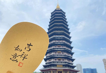 天宁宝塔第 30 张图片