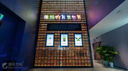植物园活体昆虫乐园第 5 张图片