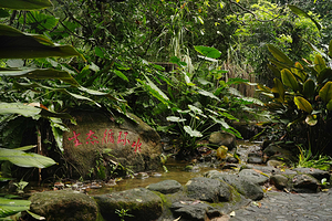 兴隆热带植物园