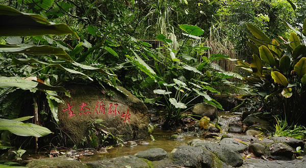 兴隆热带植物园