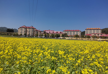 镇北艺术田园景区第 2 张图片