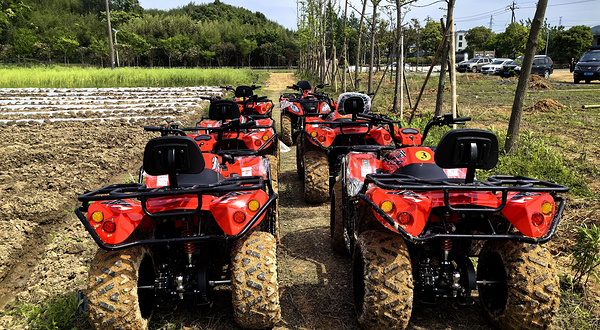 莫干6373阳光乐园