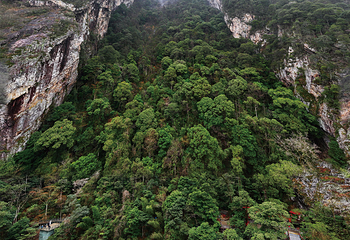 罗霄山大裂谷风景区第 19 张图片