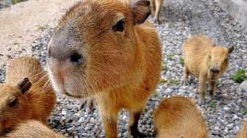 稻庄亲子休闲农场