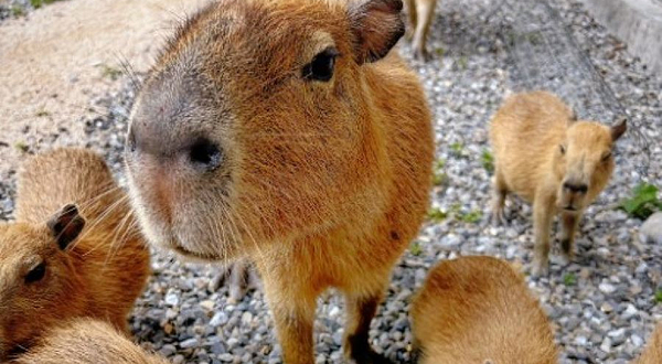 稻庄亲子休闲农场