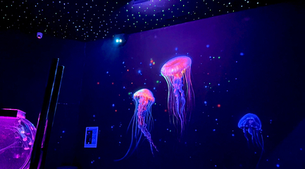 梦幻海洋企鹅馆第 78 张图片