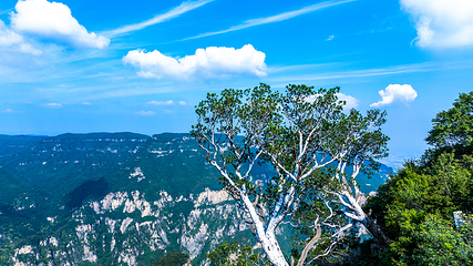 神农山风景区第 10 张图片