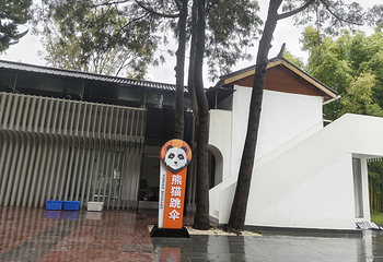 熊猫跳伞大理基地第 22 张图片