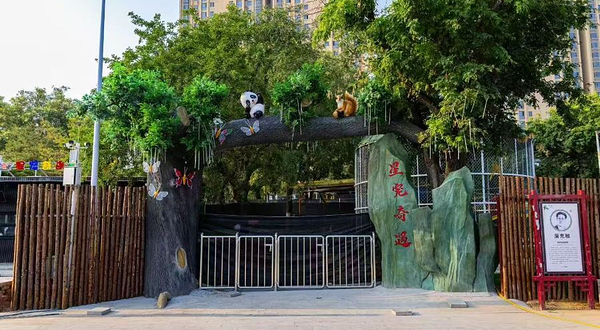 紫荆公园-星宠奇遇动物乐园