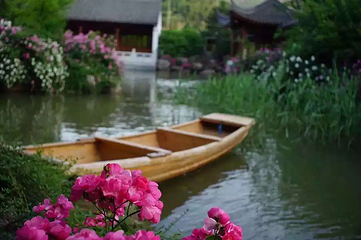 保府大院第 14 张图片