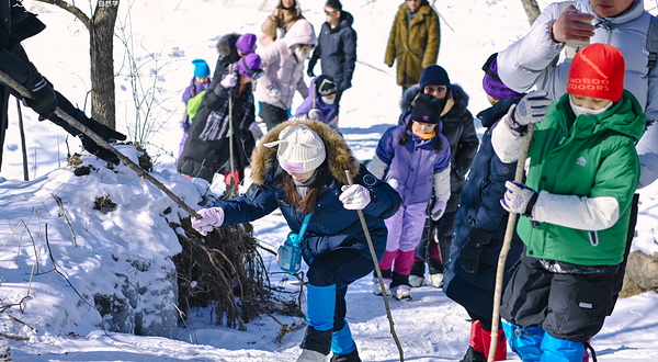 长白山山野间露营地
