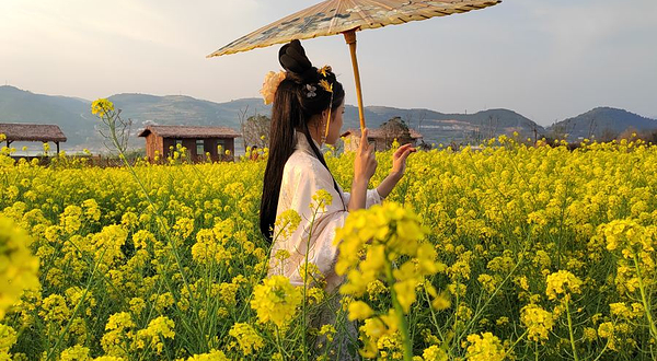 龙韵共享生态农场