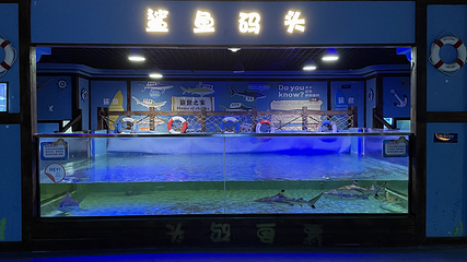 重庆欢乐海底世界第 21 张图片