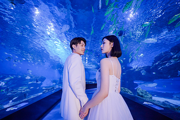 海合安天津极地海洋公园第 10 张图片