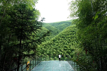 湖州碧坞龙潭第 17 张图片
