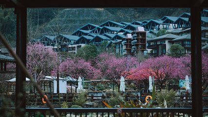 葛仙村度假区第 97 张图片