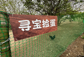 卡尔牧场·山林溪谷第 14 张图片