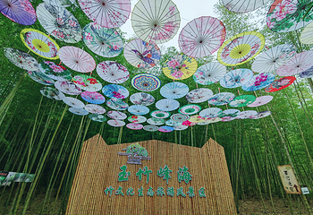 峨山彝人谷竹海景区第 40 张图片