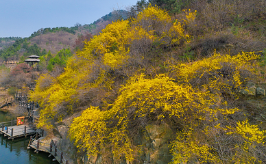 九如山休闲旅游度假区第 165 张图片