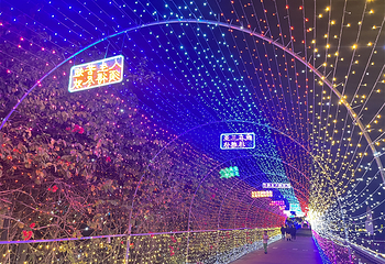 水稻国家公园第 104 张图片